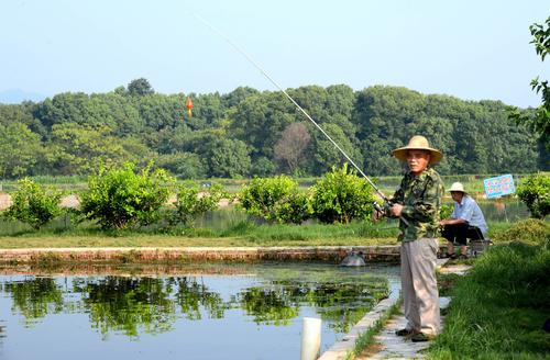 一人一杆钓鱼句子（感受大自然的静谧与美好）