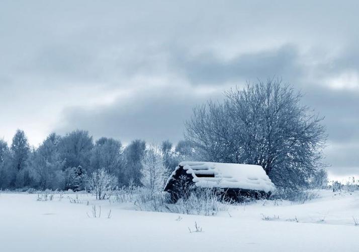 关于描写冬天的优美诗句大全（漫步雪景，寻觅唯美）