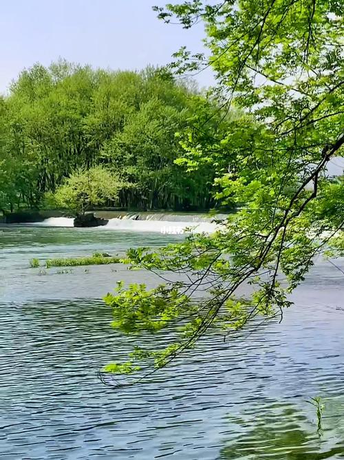 心灵深处的风景议论文（《心灵深处的美好风景》）