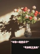 关于感情作文600字作文开头（《花开时节》）