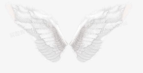 以天使的翅膀为主题曲的是什么电影（《天使的翅膀》）