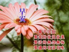 关于早安的唯美句子100句（走进早安的世界，享受每一天的美好）