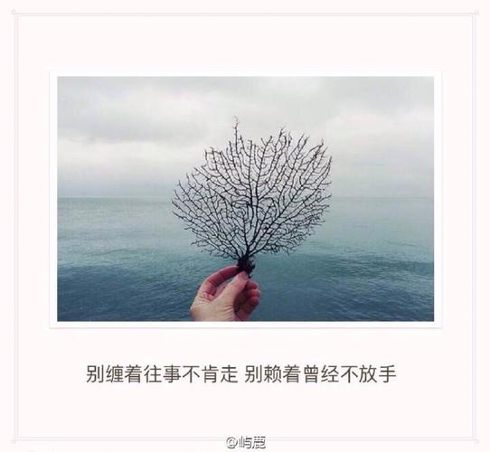 干净的情话句子（清新如水，情感干净）