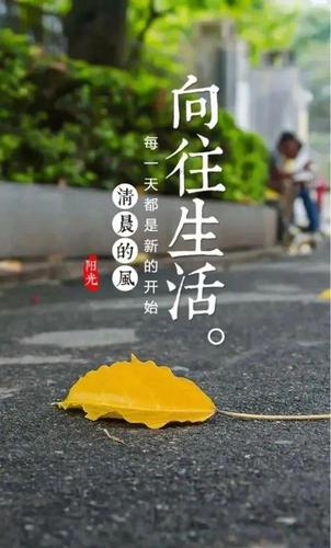 充满阳光的励志句子（《光芒耀眼》）