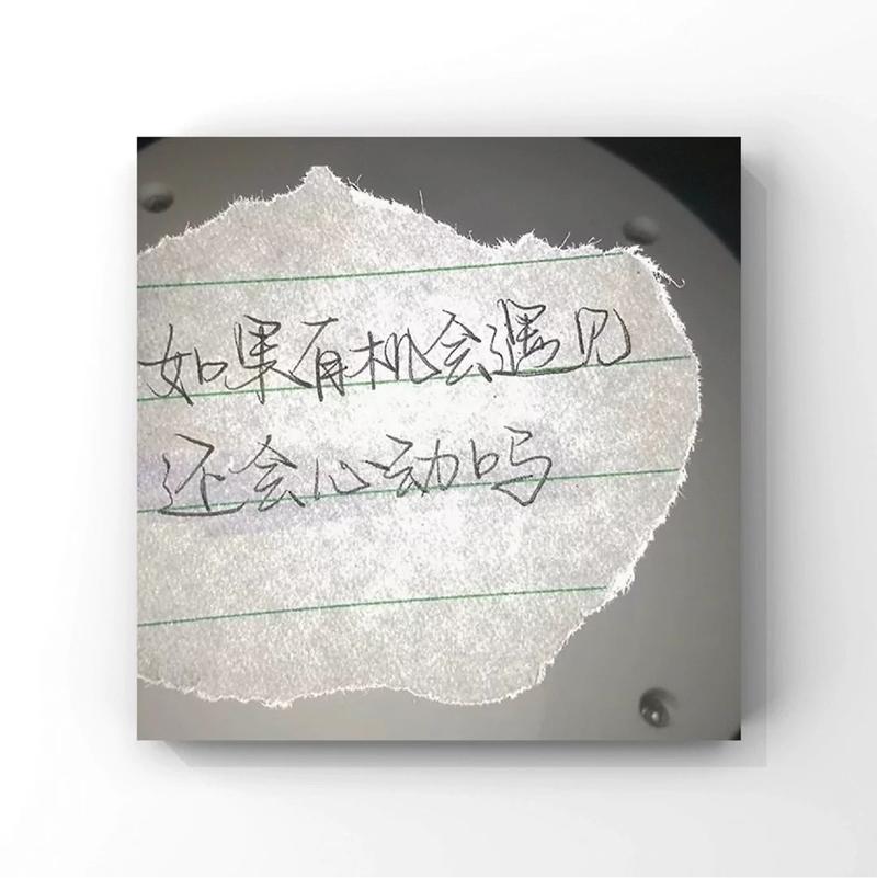 最动人的唯美伤感语录短句（触动心灵的美妙感受）