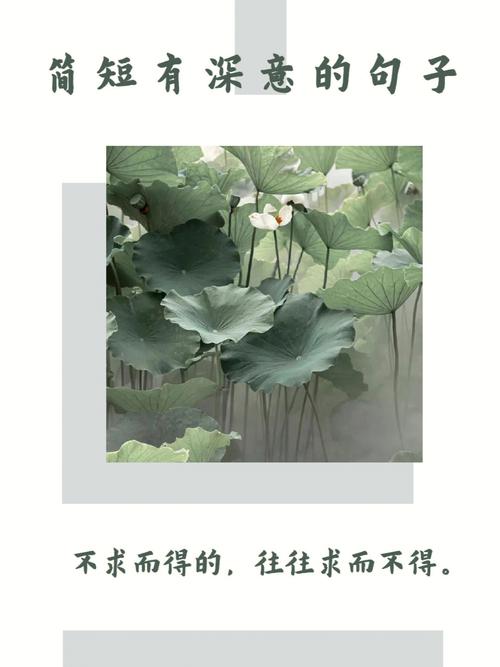 简短又暗含深意的句子（探寻生命中的瞬间美）