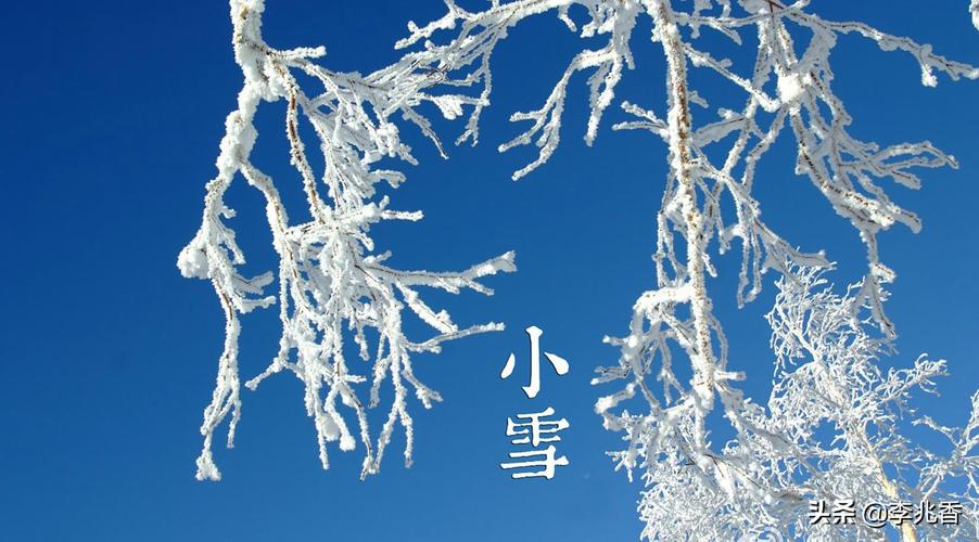 关于小雪的唯美句子简短（《小雪的唯美世界》）