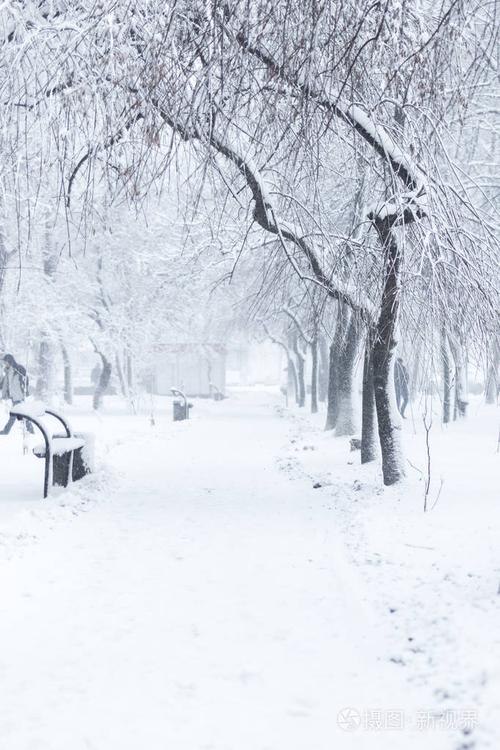 以冬天的雪为主题写一篇作文（《雪夜温暖》）