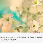 干净治愈的句子（《干净的治愈》）