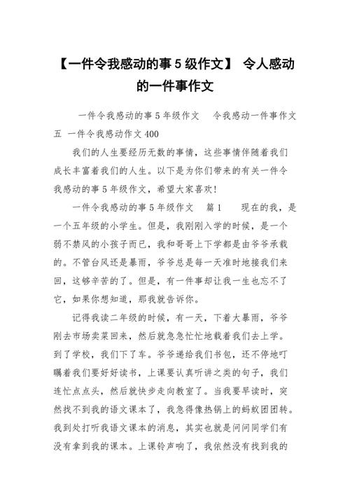 令我感动的事优秀作文（《善良雨人》）