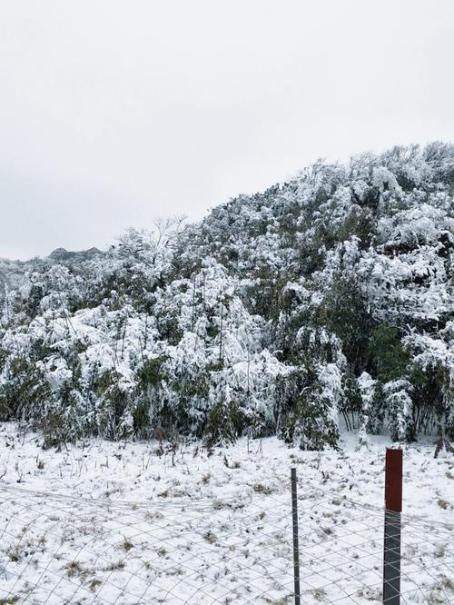 描写南方雪景的句子作文（《雪花飘落的季节里，来自南方的温暖故事》）