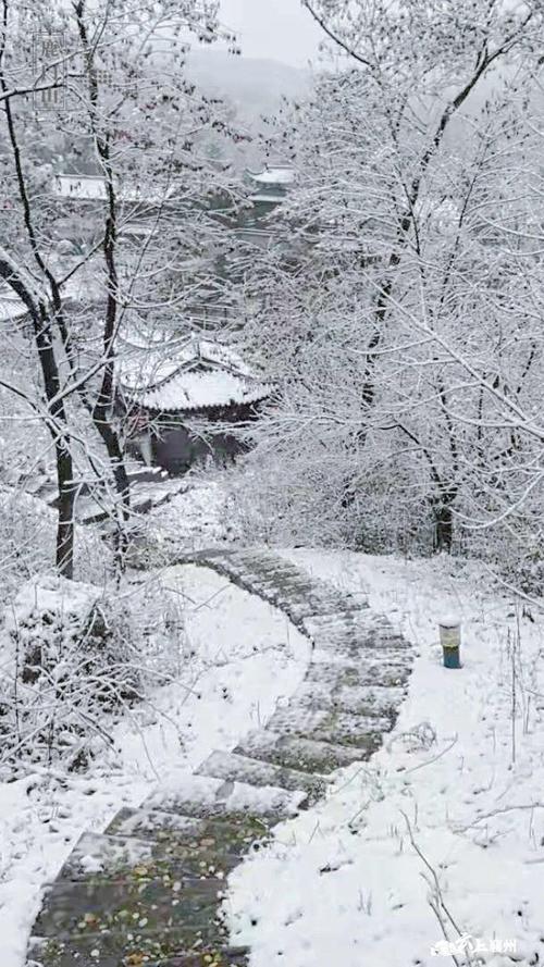 门外的精彩作文（《飞雪中的温暖》）