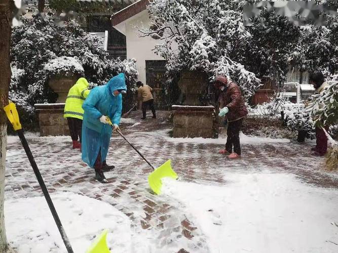 有关扫雪的作文400字（《雪中有意义的一天》）