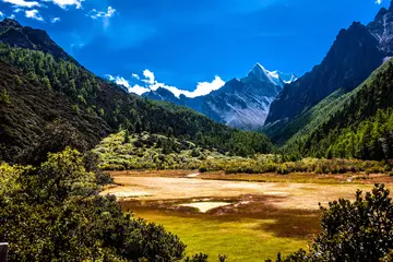 让人难忘的春节作文（《难忘的风景》）