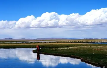 那些难忘的夏天作文（《难忘的风景》）