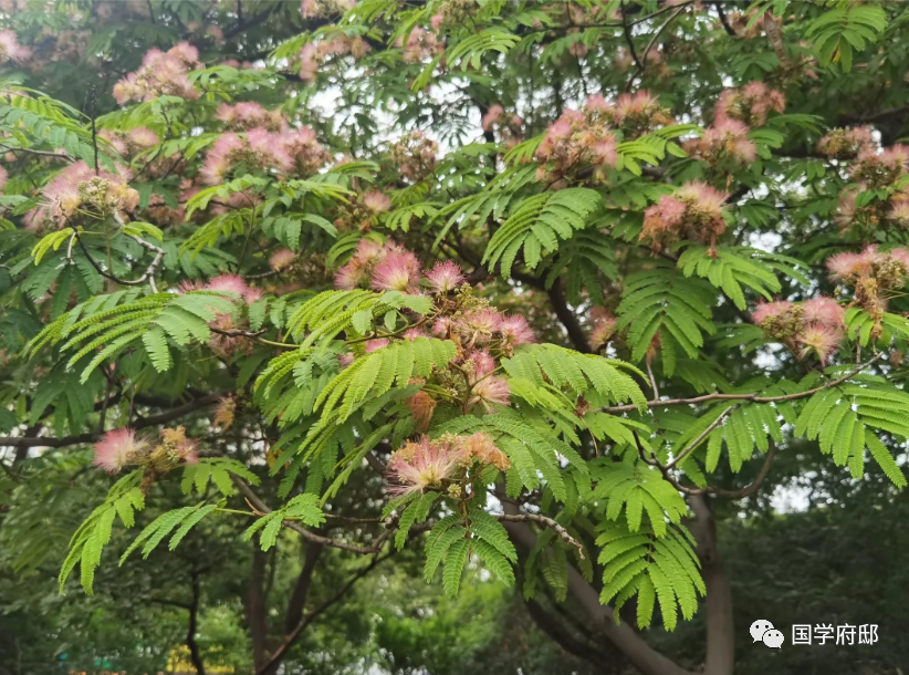 左传名言佳句摘抄，《左传》经典70句