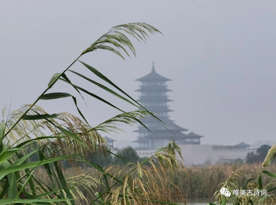 父爱诗词七律（赞美父爱的唯美古诗）