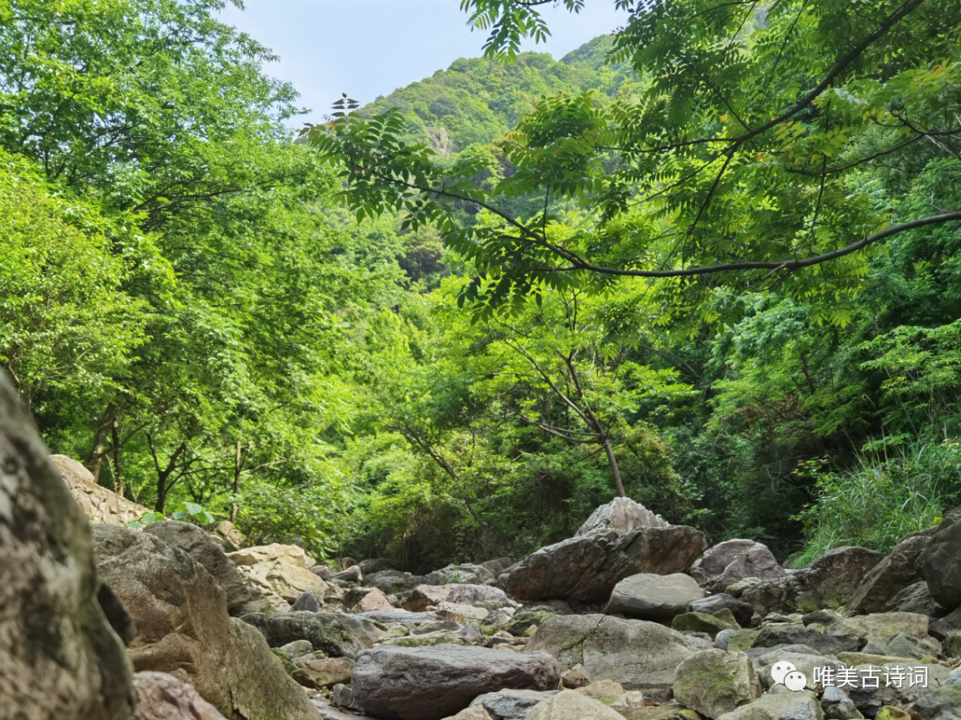 唯美的夏天诗词（幽静的夏日诗词）