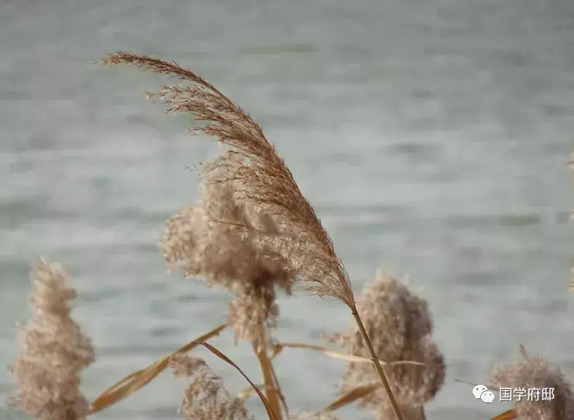 八月诗词大全（遇见唯美八月诗词）