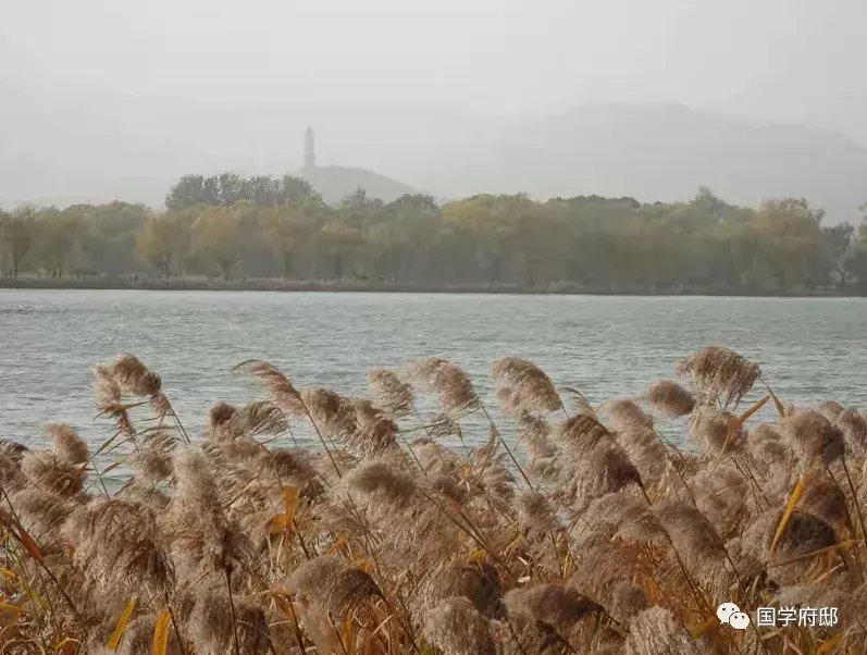 八月诗词大全（遇见唯美八月诗词）