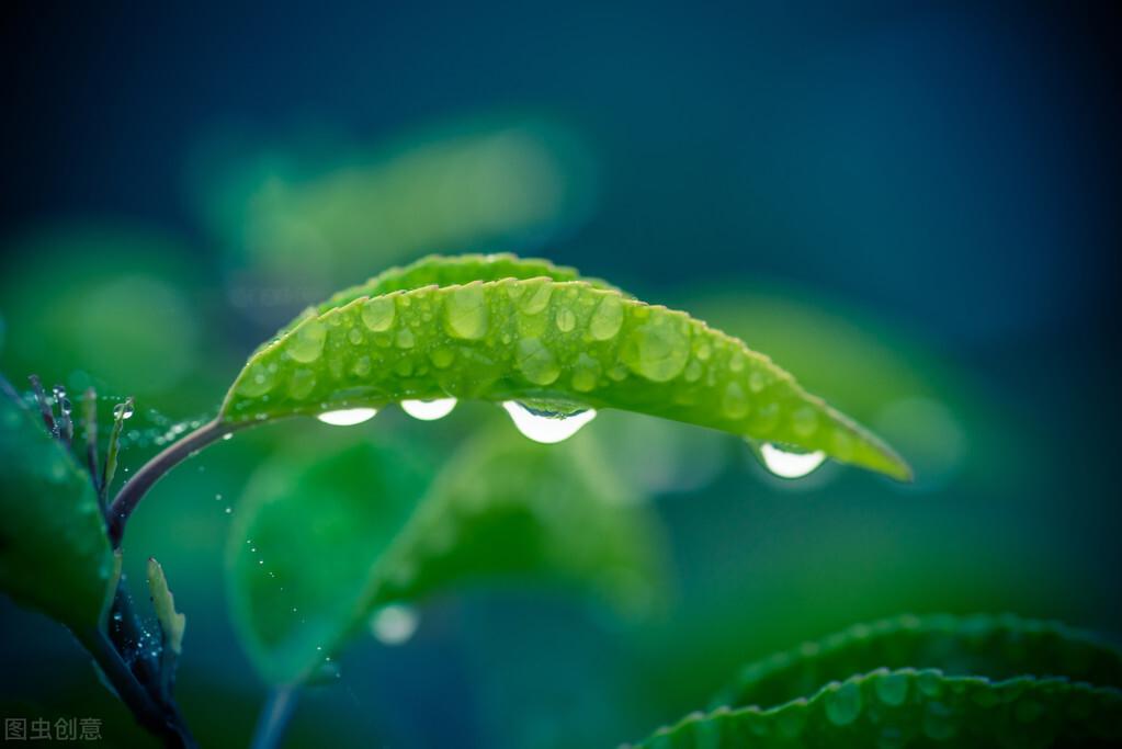 赞美秋雨的诗句古诗（古诗词中的秋雨）