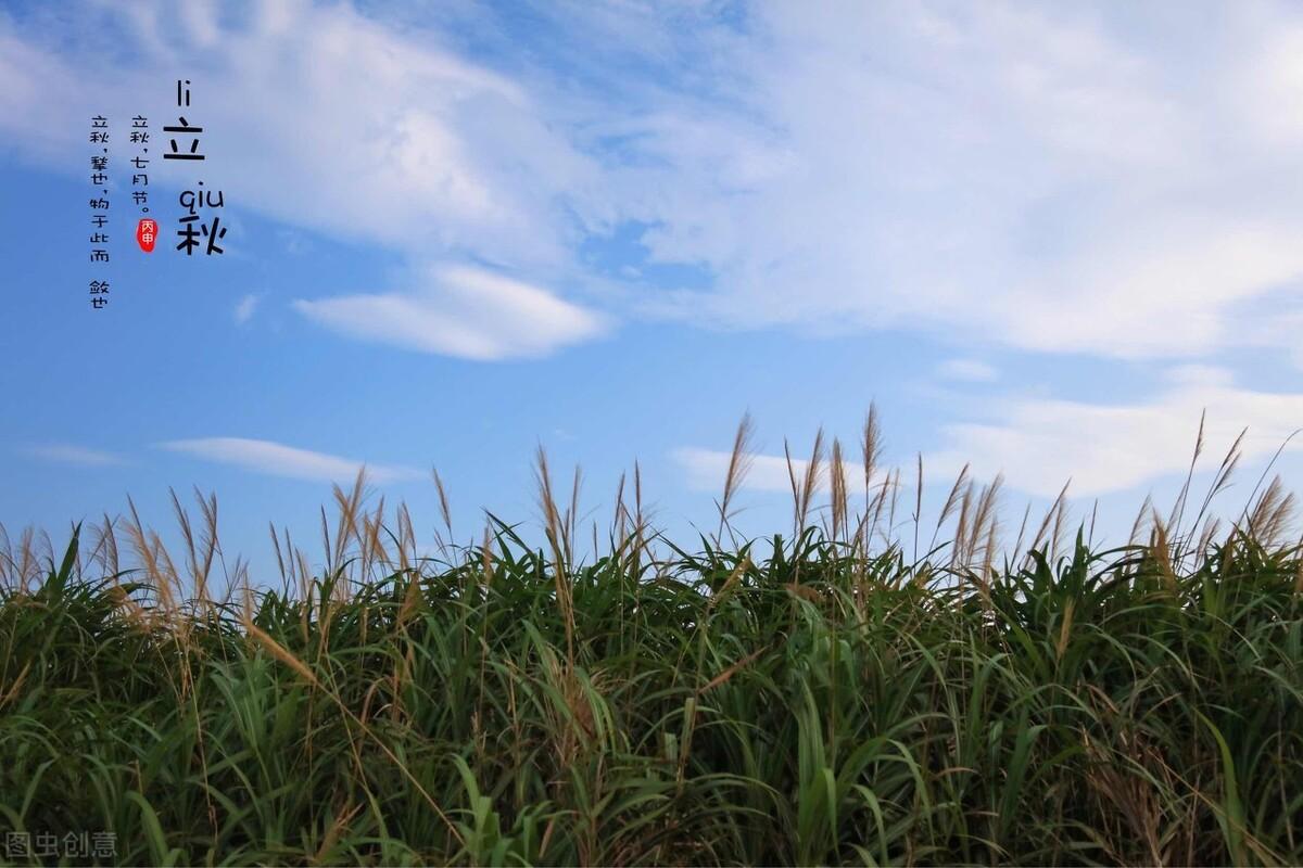 描写秋天美景五言绝句（古诗词中的秋天美景）