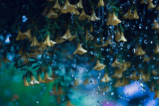 描写下雨天的著名诗词（古人写雨的诗词）