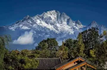 感受端午的文化作文（《欢乐的端午节》）