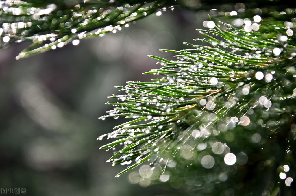 下雨的古诗词唯美（描写雨天的优美诗句）