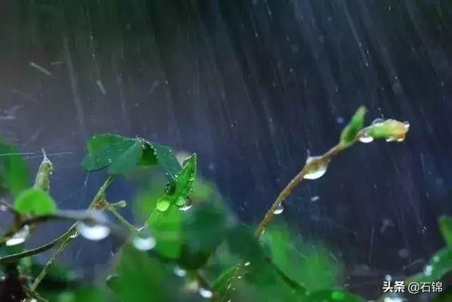 下雨天意境绝美的诗词（五首听雨诗词）