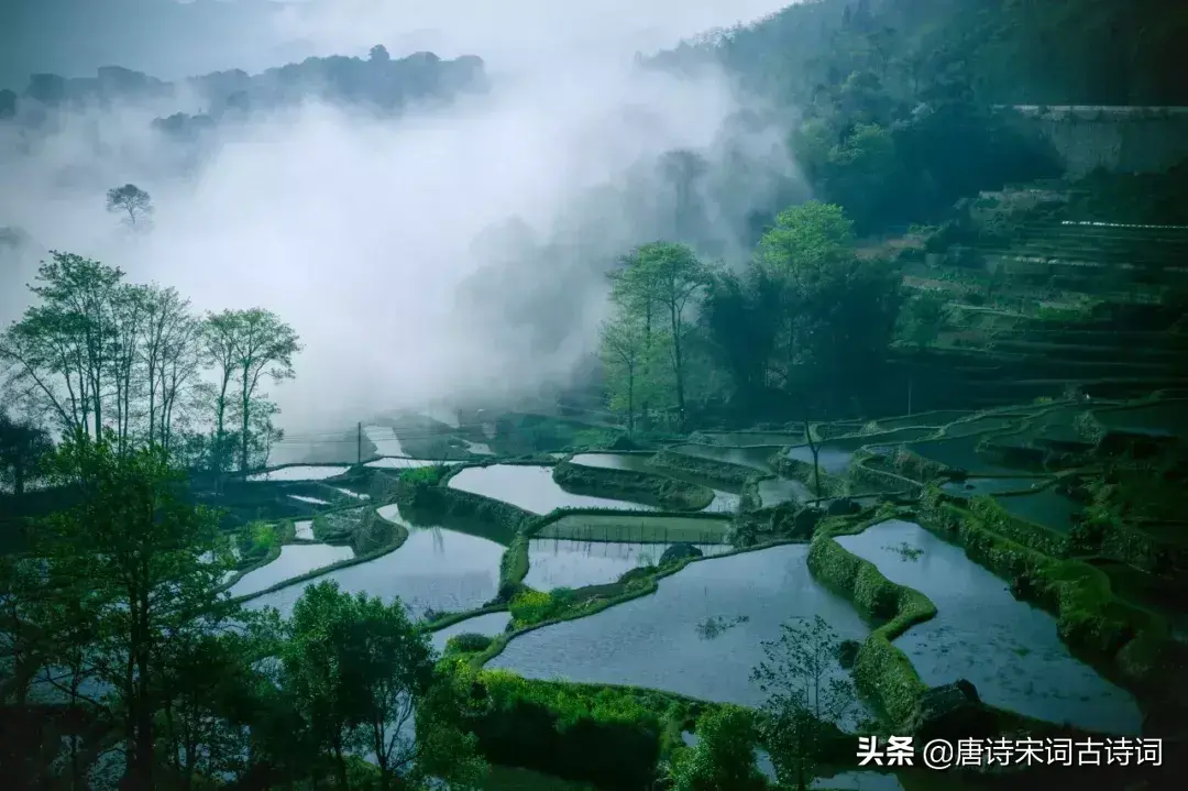 怀念那唯美的田园生活古诗词（九首村居诗词）