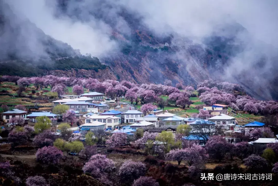 怀念那唯美的田园生活古诗词（九首村居诗词）