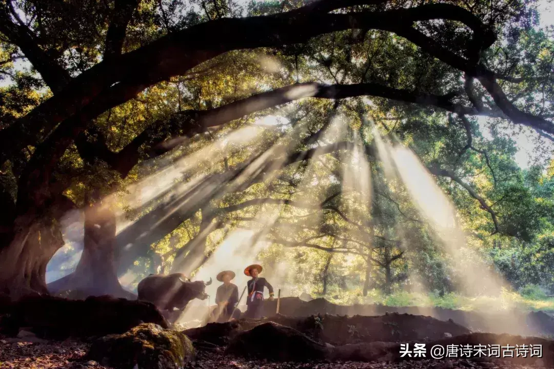 怀念那唯美的田园生活古诗词（九首村居诗词）