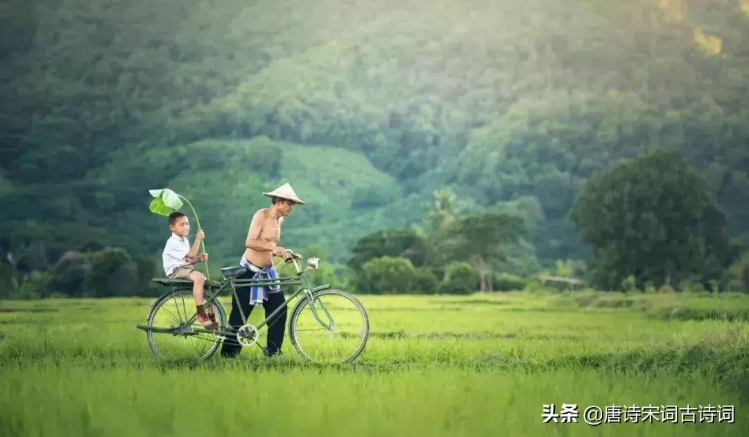 形容夫妻田园生活的诗句（十首闲适田园诗词）