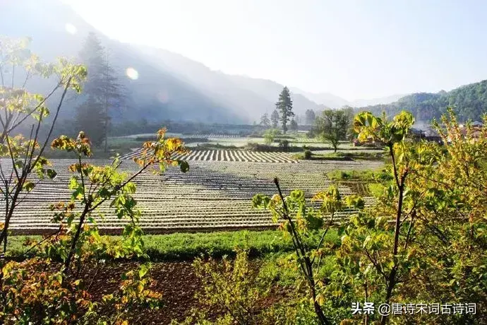 形容田园惬意的古诗句（唯美田园诗词）