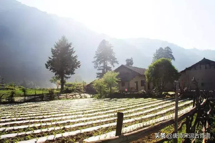 形容田园惬意的古诗句（唯美田园诗词）