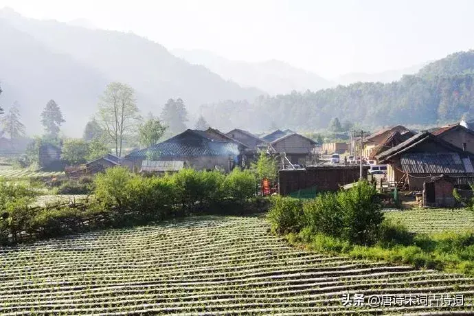 形容田园惬意的古诗句（唯美田园诗词）