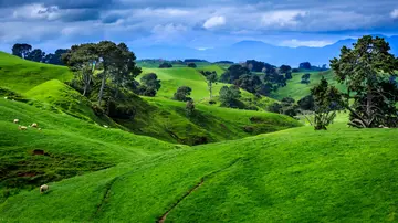 点亮理想的人生作文（《人生的风景》）