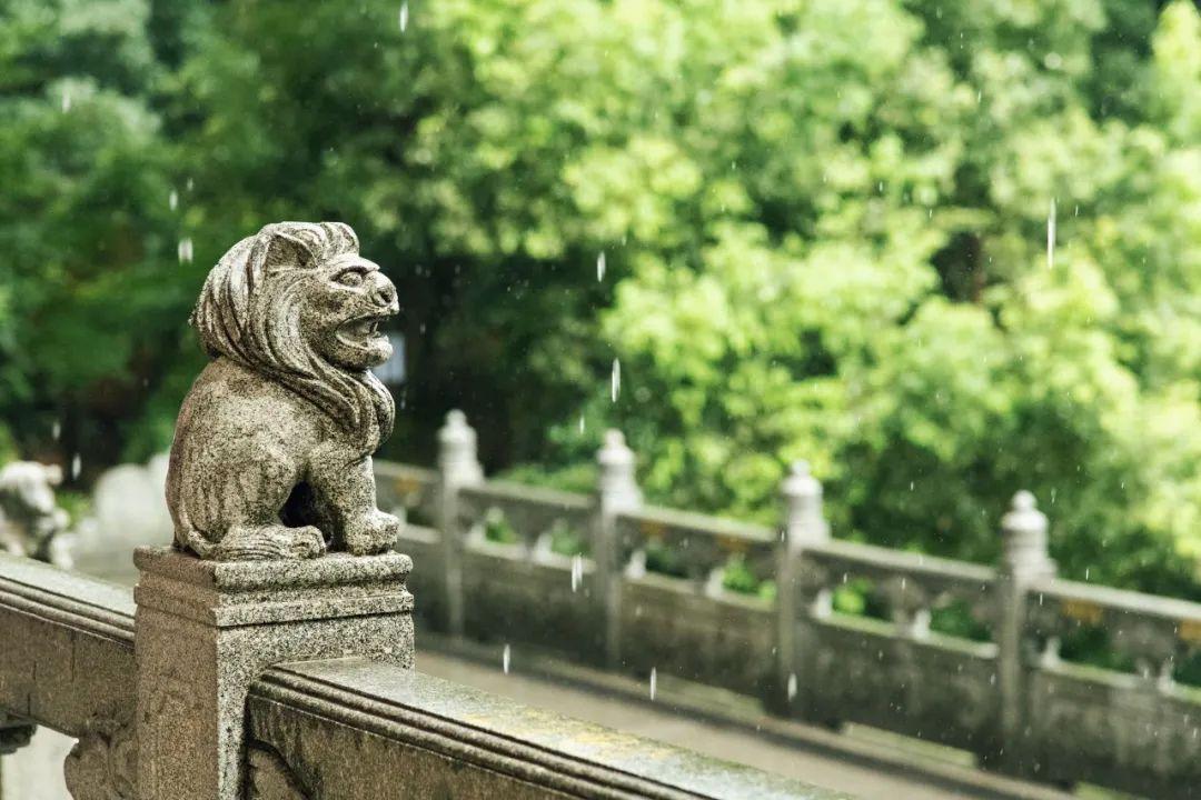 形容滂沱大雨的诗句（30首夏雨诗词）