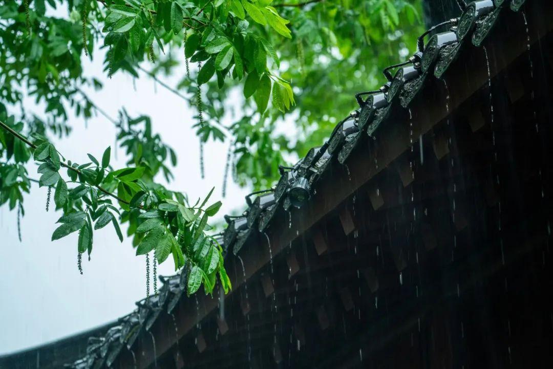 关于雨后赏花的唯美诗句（60首谷雨诗词）