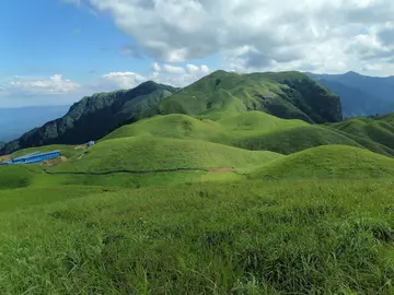 那些以童年为话题的作文（《童年的色彩》）