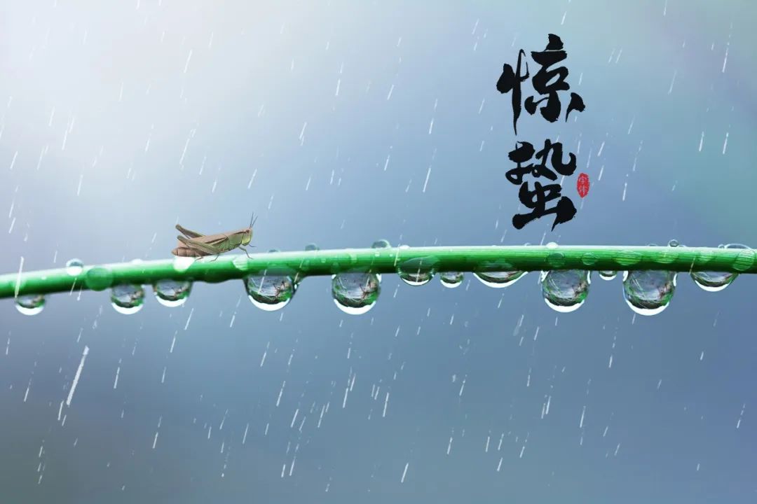 惊蛰日雷古诗词（38首惊蛰诗词）