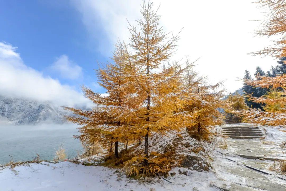 下雪发朋友圈唯美古诗句（10首大雪诗词）