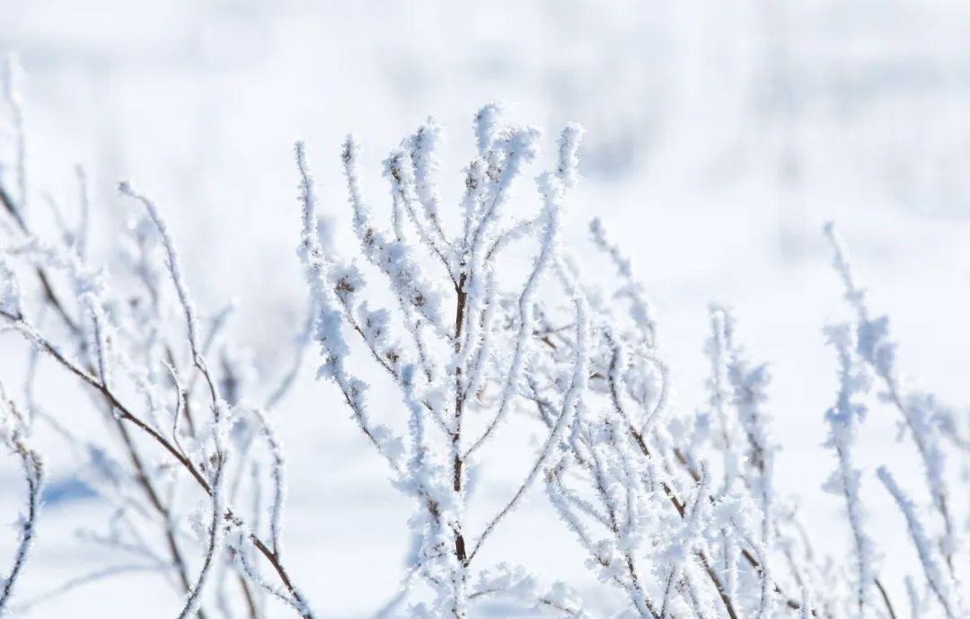 下雪发朋友圈唯美古诗句（10首大雪诗词）