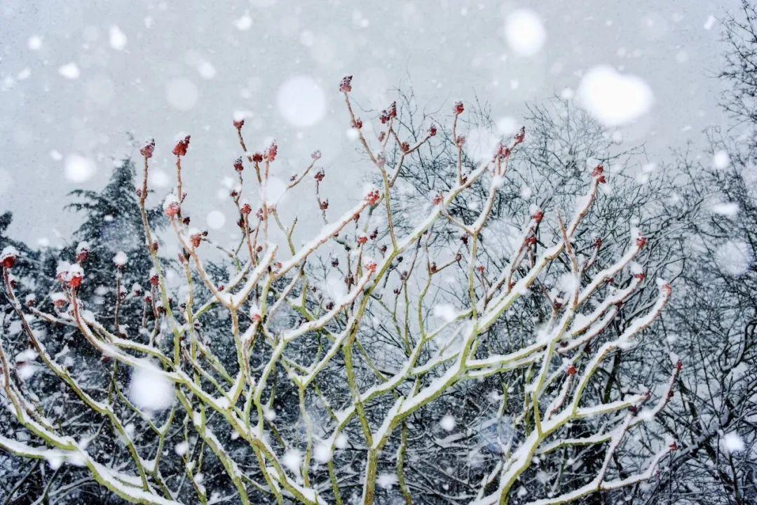 赞美冬雪的诗词绝句（36首冬雪诗词）