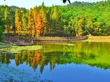 关于童年的滋味优秀作文（《童年的风景》）