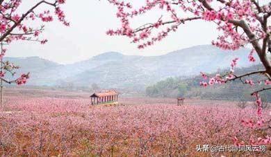 风流才子古诗词有哪些（风流才子古诗词九首）