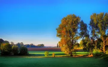 那些别样的春天作文（《春天的风景》）