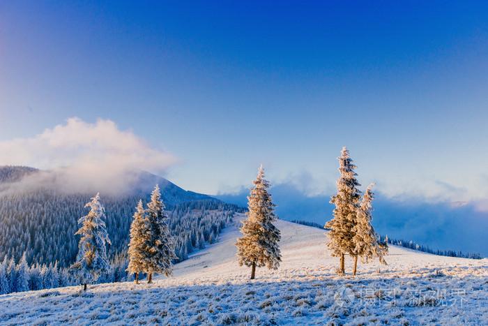 以美丽的雪为题写一篇作文（《美丽的雪》）