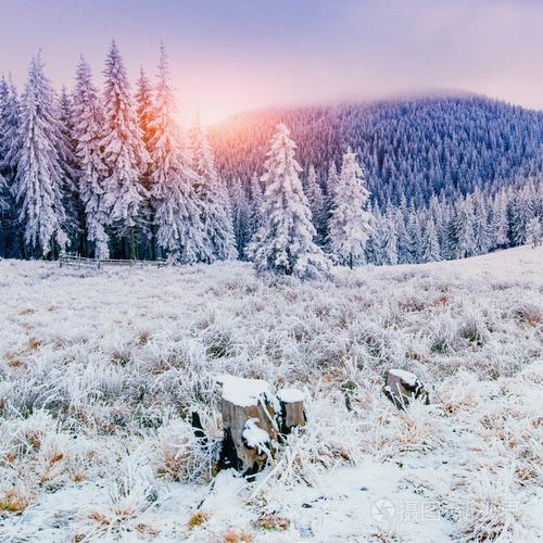 以美丽的雪为题写一篇作文（《美丽的雪》）